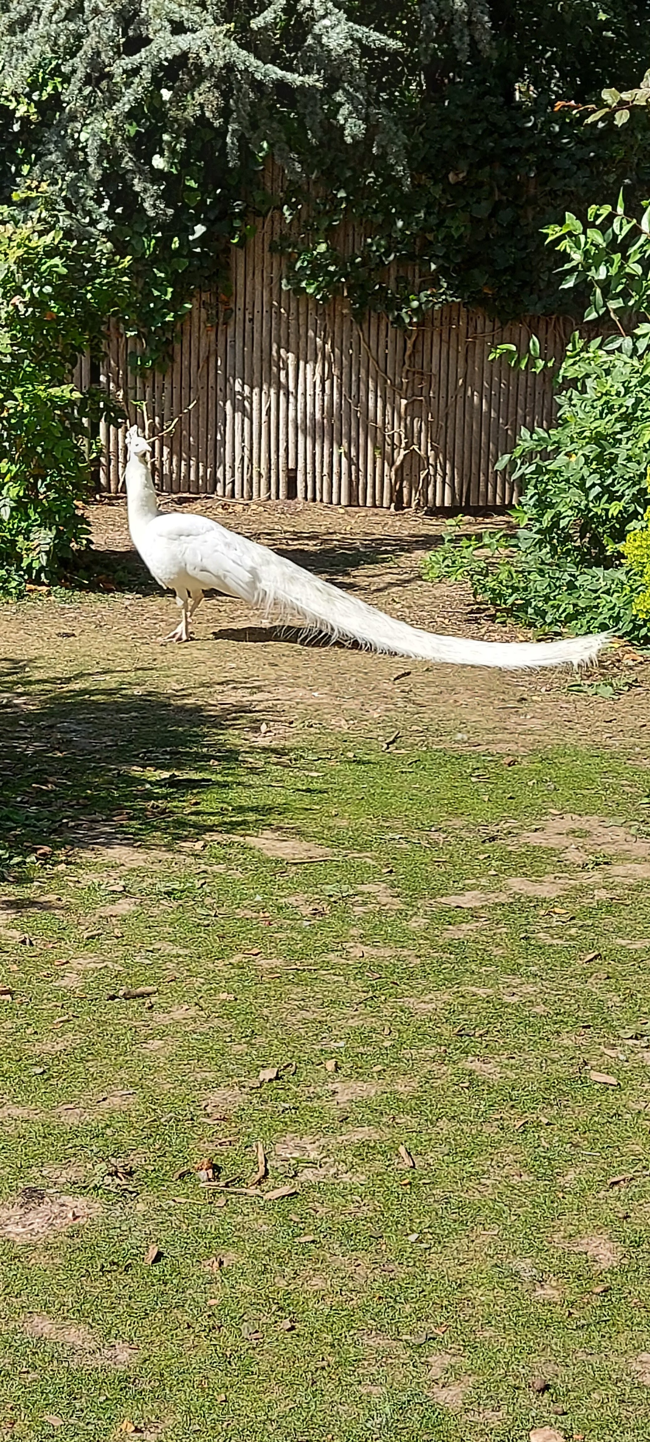 Photo n° 25 de l'avis de gwadilina.l fait le 12/05/2022 à 00:30