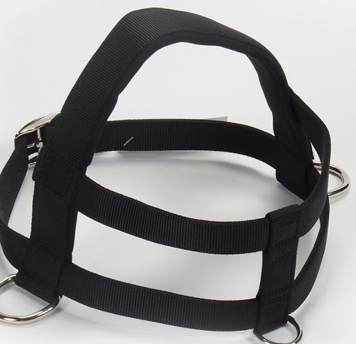 Pet Supply Store «Bully Zone Pet Supplies & Pet Grooming», reviews and photos, 1409 McCarter Hwy, Newark, NJ 07104, USA