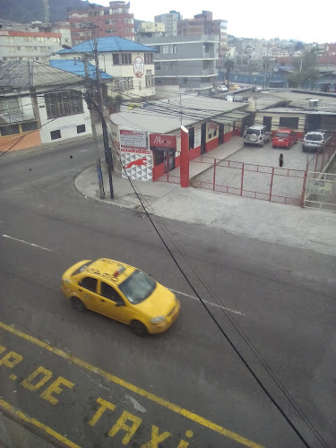 Opiniones de Reina del Camino Bus en Quito - Servicio de transporte