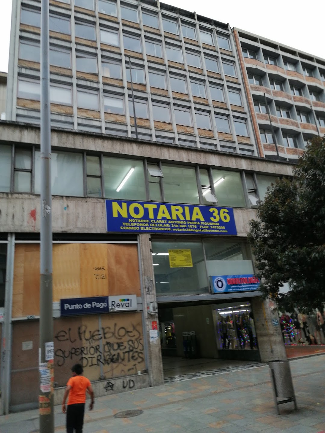 notaria 36