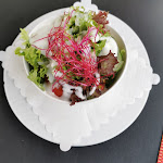 Photo n°2 de l'avis de U. fait le 24/06/2023 à 11:40 sur le  Tiffany à Nümbrecht