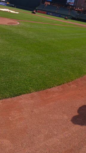 Baseball Field «Oriole Park at Camden Yards», reviews and photos, 333 W Camden St, Baltimore, MD 21201, USA
