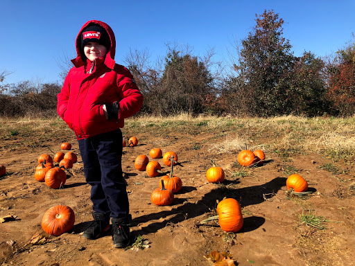 Produce Market «Solly Brothers», reviews and photos, 707 Almshouse Rd, Warminster, PA 18974, USA