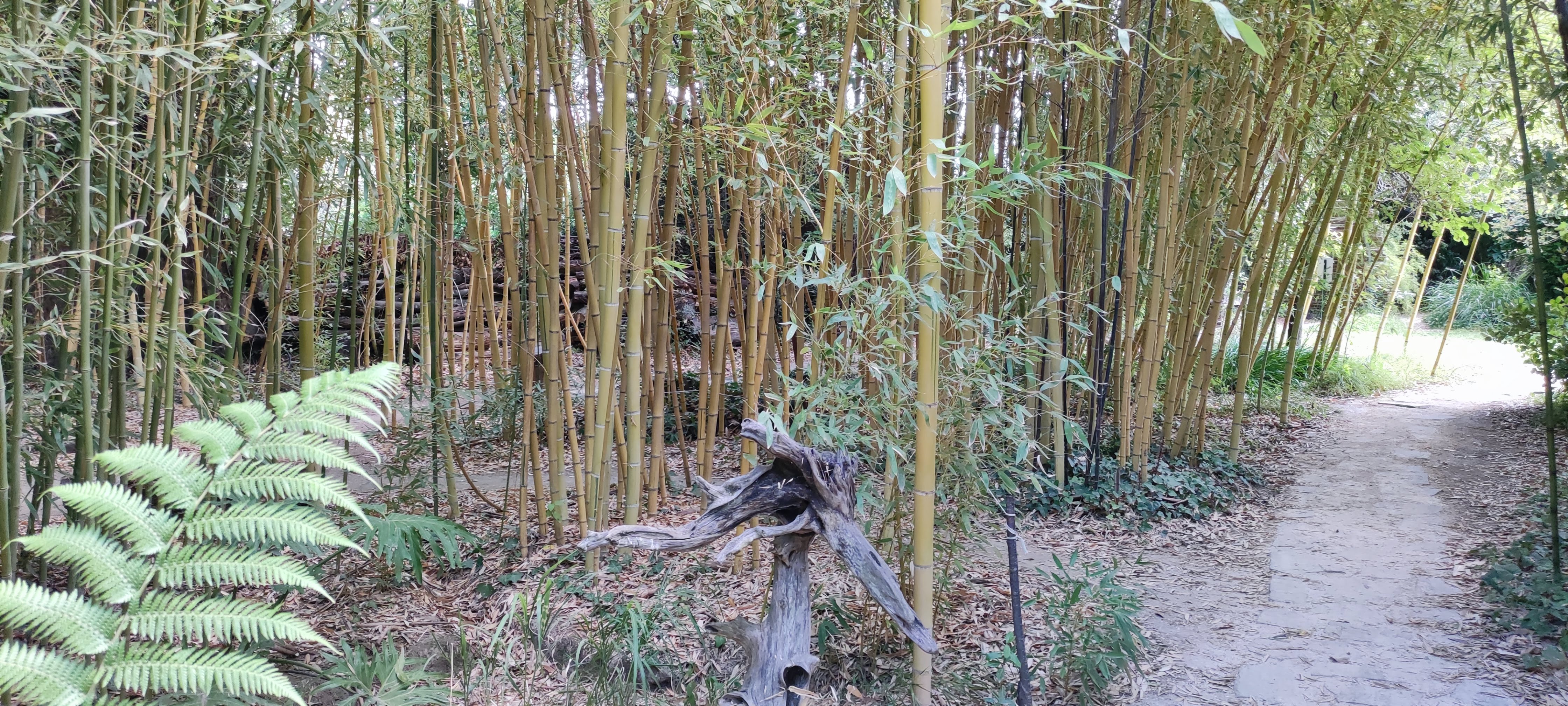 Photo n° 9 de l'avis de Thibaut.u fait le 22/07/2021 à 05:09