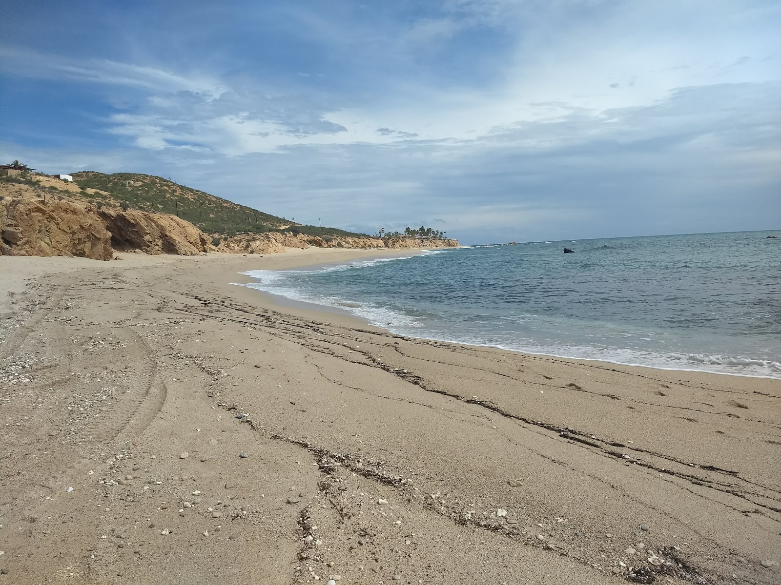 Φωτογραφία του Playa Palo Blanquito με επίπεδο καθαριότητας εν μέρει καθαρό