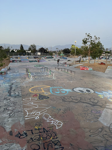 Sheldon Skate Park