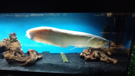 Pet Store «Olathe Pet Shop», reviews and photos, 16651 151st St, Olathe, KS 66062, USA