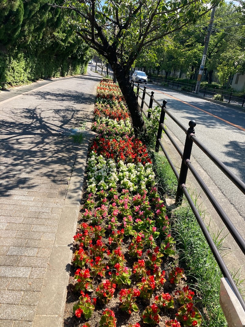 季節の花壇