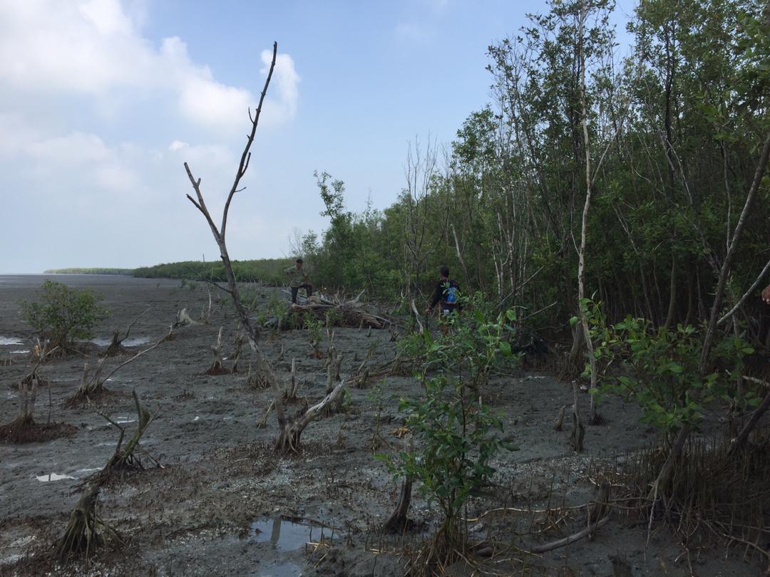 Hutan Simpan Banjar Utara