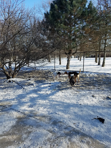 Dog Park «Norwood Park Dog Friendly Area», reviews and photos, 5850 N Avondale Ave, Chicago, IL 60631, USA