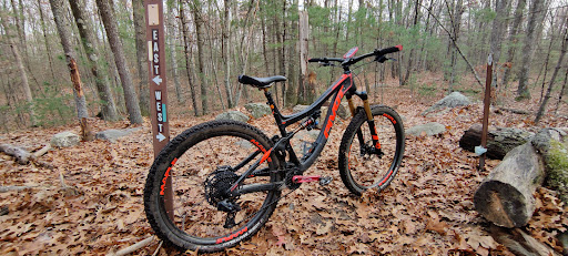 Park «Russell Mill Pond and Town Forest», reviews and photos, 105 Mill Rd, Chelmsford, MA 01824, USA