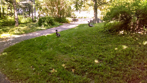 Zoo «Trevor Zoo at Millbrook School», reviews and photos, 282 Millbrook School Rd, Millbrook, NY 12545, USA