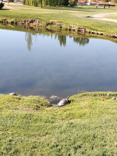 Golf Club «Paso Robles Golf Club», reviews and photos, 1600 Country Club Dr, Paso Robles, CA 93446, USA