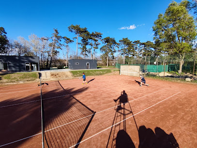 Tata Városi Tenisz Klub Közhasznú Sportegyesület
