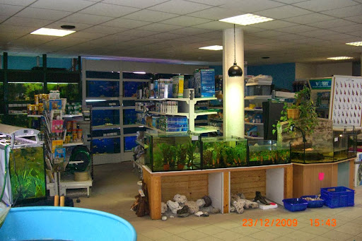 Zoohandlung Matzelsberger (Zubehör für Aquaristik), Biotop-Teichfische, Japan-Koi, Teichbau, Teichfilter, Felix Matzelsberger unter Arnsdorf, 