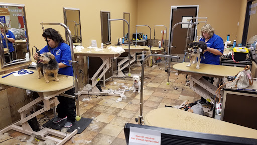 Pet Supply Store «PetSmart», reviews and photos, 5574 West Grand Parkway South, Richmond, TX 77406, USA