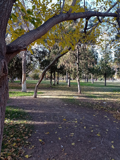 Casa de medicina tradicional Arbol de la vida en Ciudad Juarez