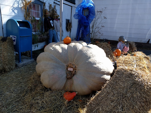 Gourmet Grocery Store «Max Hansen Carversville Grocery», reviews and photos, 6208 Fleecy Dale Rd, Carversville, PA 18913, USA
