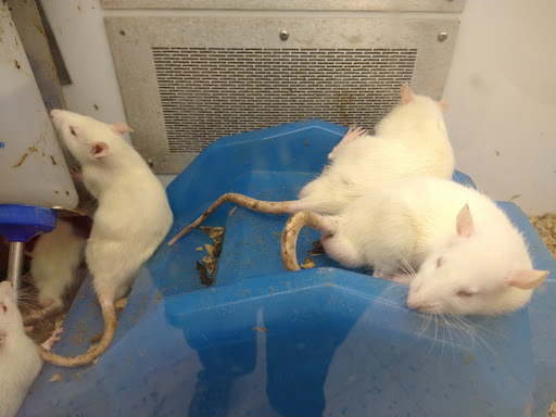 Pet Supply Store «Petco Animal Supplies», reviews and photos, 1605 Beltline Rd SW, Decatur, AL 35601, USA