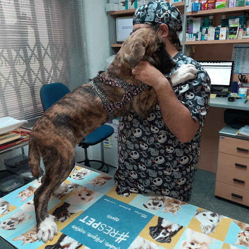 Torrejón Centro Veterinario en Torrejón de Ardoz
