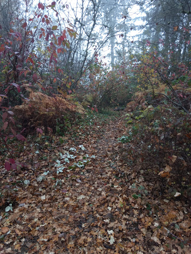 Park «Autumn Ridge Park», reviews and photos, NW Fieldstone Dr, Beaverton, OR 97006, USA