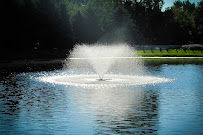 Two Fish Inc. - Photo 5 - Car repair in Louisville, KY, Louisville