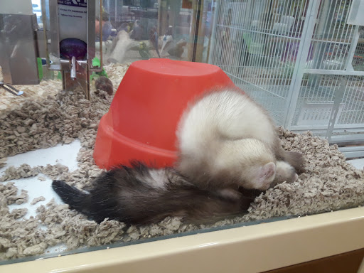 Pet Supply Store «Pet Supermarket», reviews and photos, 1800 W 68th St #140, Hialeah, FL 33014, USA