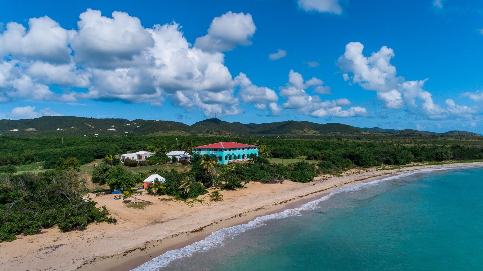 Hay Penny beach'in fotoğrafı vahşi alan