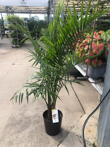 Home Improvement Store «The Home Depot», reviews and photos, 545 S Telegraph Rd, Pontiac, MI 48341, USA