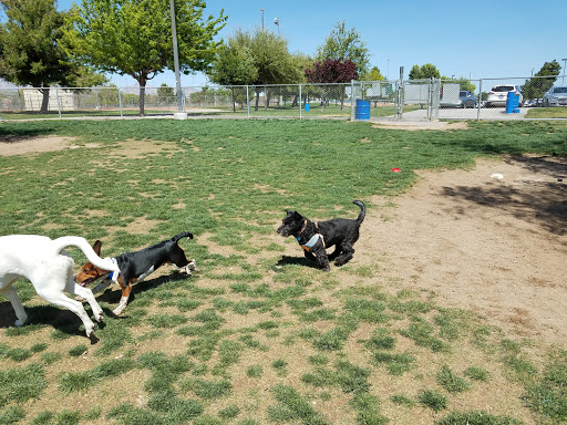 Park «Desert Breeze Park», reviews and photos, 8275 Spring Mountain Rd, Las Vegas, NV 89147, USA