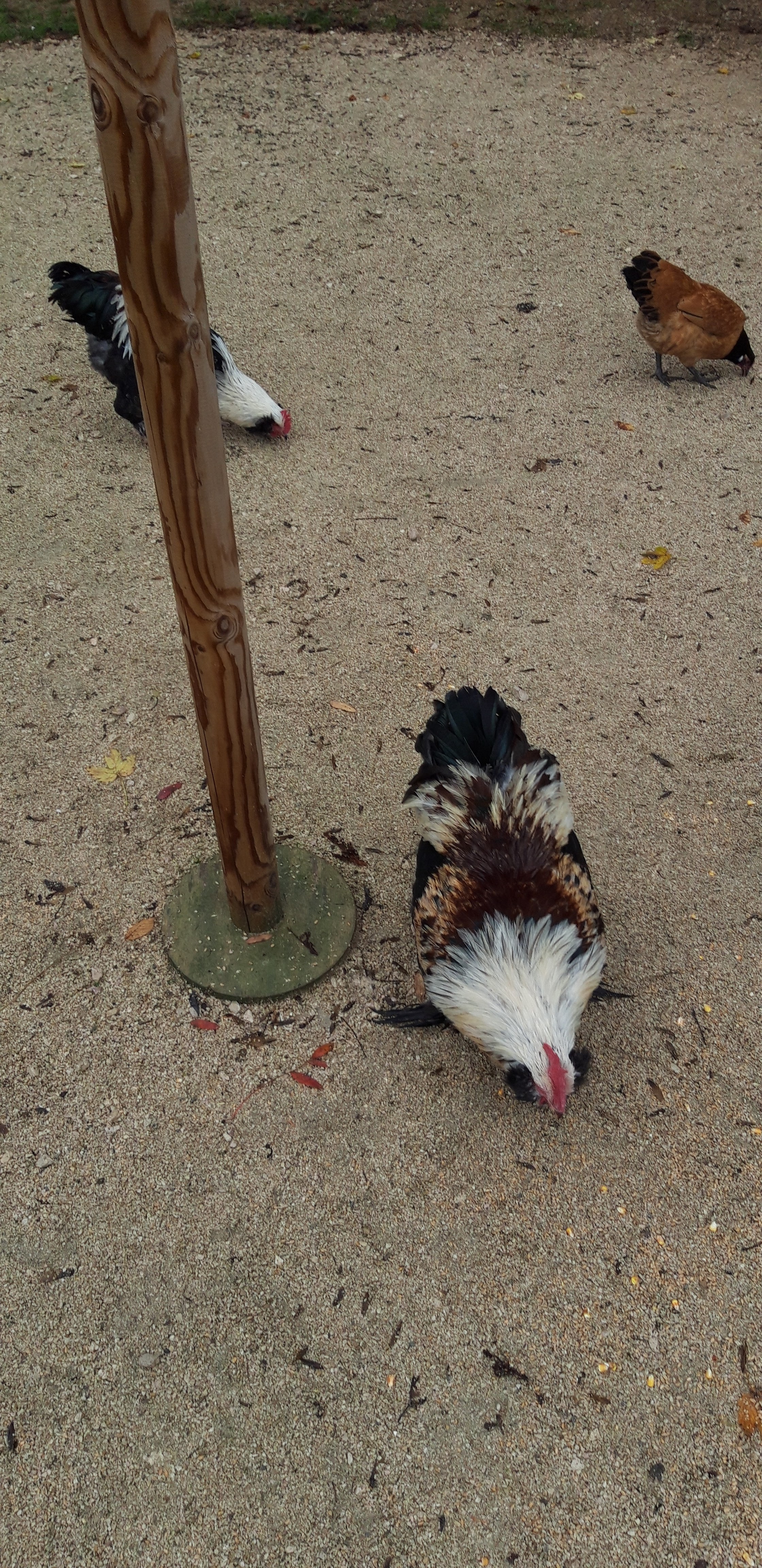 Photo n° 4 de l'avis de Lord.r fait le 16/11/2018 à 04:59