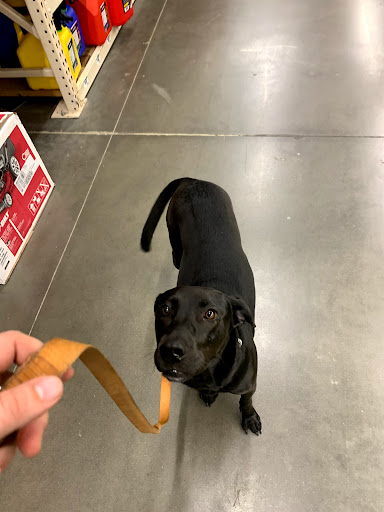 Home Improvement Store «The Home Depot», reviews and photos, 5700 Antioch Rd, Merriam, KS 66202, USA