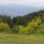 Photo n°1 de l'avis de Doriano.a fait le 25/06/2020 à 13:56 sur le  Passo delle Fittanze à Erbezzo