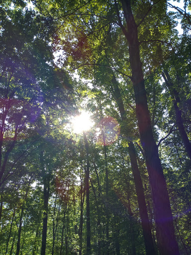 Park «Harrods Creek Park», reviews and photos, 6530 Montero Dr, Prospect, KY 40059, USA