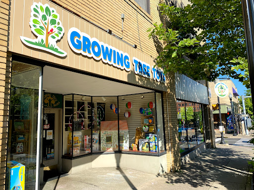 Gift Shop «Growing Tree Toys», reviews and photos, 202 S Allen St, State College, PA 16801, USA