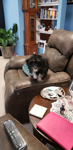 Pet Store «Liberty Agway Pet Center», reviews and photos, 11 Bon Jovi Ln, Liberty, NY 12754, USA