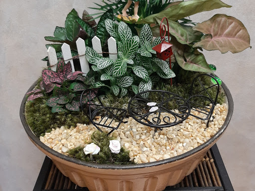 Florist «Buds Blooms & Beyond», reviews and photos, 11234 W Hillsborough Ave, Tampa, FL 33635, USA