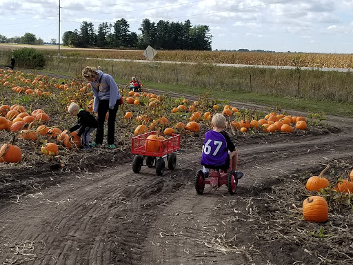 Pumpkin Patch «Barts Farm and Pumpkin Patch», reviews and photos, 7307 Alburnett Rd, Marion, IA 52302, USA