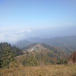 Photo n°1 de l'avis de Adrian. fait le 12/11/2018 à 10:06 sur le  Almgaststätte Kälbelescheuer à Münstertal