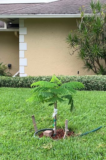 Plant Nursery «Wilcox Nursery», reviews and photos, 12501 Indian Rocks Rd, Largo, FL 33774, USA