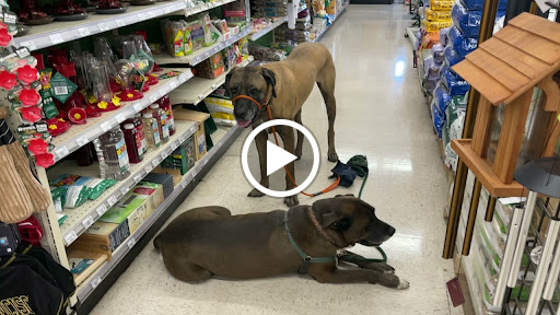 Hardware Store «Pittsburg Ace Hardware», reviews and photos, 125 E Leland Rd, Pittsburg, CA 94565, USA