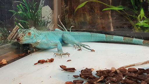 Pet Supply Store «OddBallPetFactory.com», reviews and photos, 8485 Plaza Blvd NE, Spring Lake Park, MN 55432, USA