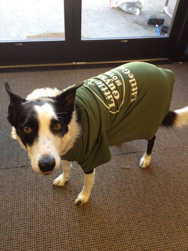 Moving Company «Little Guys Movers Murfreesboro», reviews and photos, 1432 Memorial Blvd, Murfreesboro, TN 37129, USA