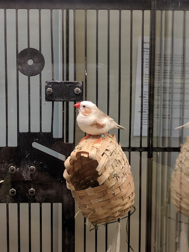 Pet Supply Store «Petco Animal Supplies», reviews and photos, 103 Commerce Way a, Woburn, MA 01801, USA