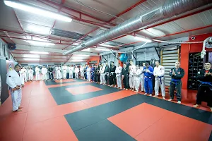 Tirana MMA Center, Akademia e Arteve Marciale image