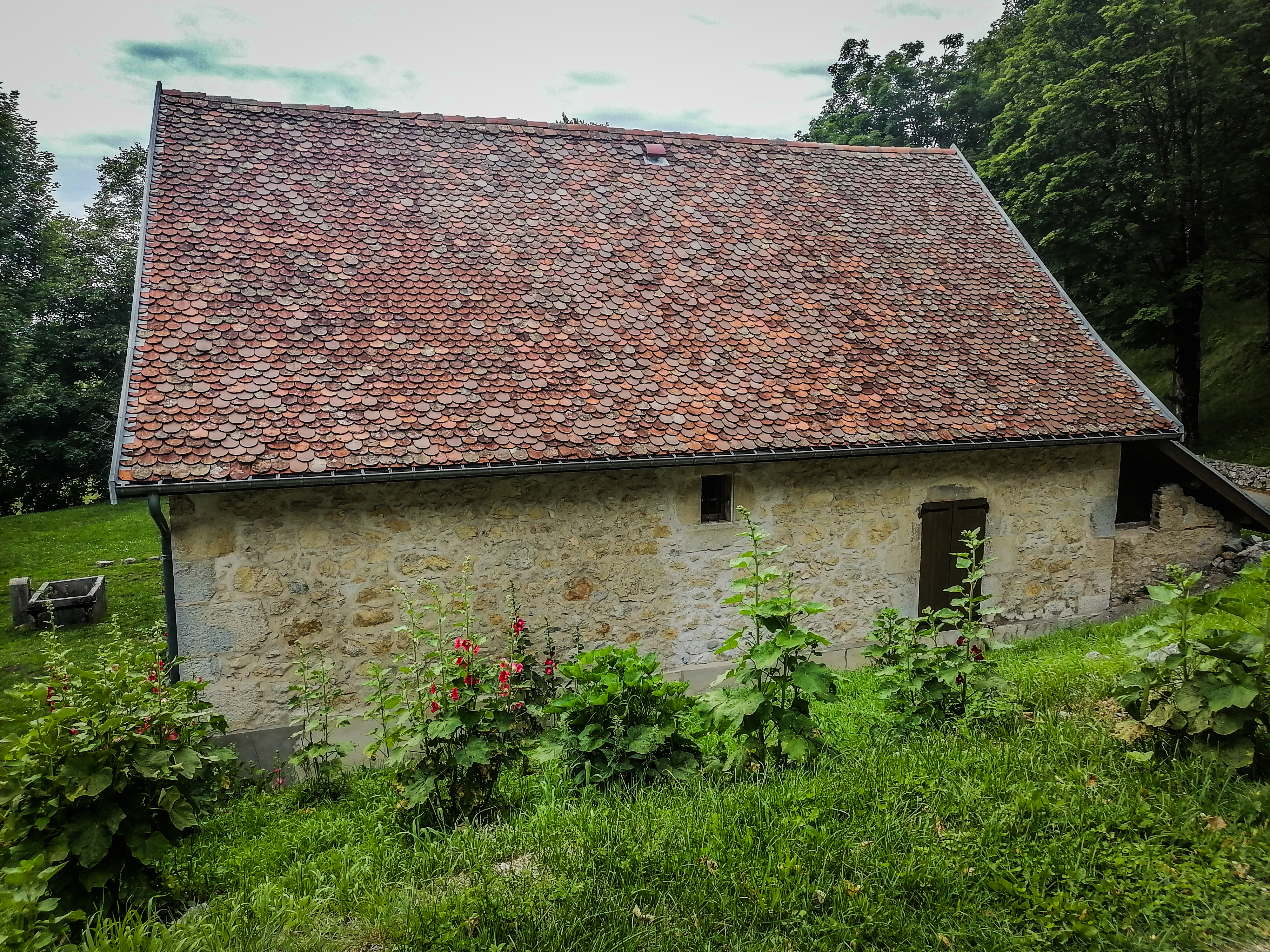 Photo n° 1 de l'avis de fontaine.i fait le 01/08/2021 à 08:57