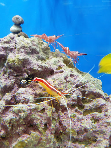 Pet Supply Store «Petco Animal Supplies», reviews and photos, 10 Sylvan St, Peabody, MA 01960, USA