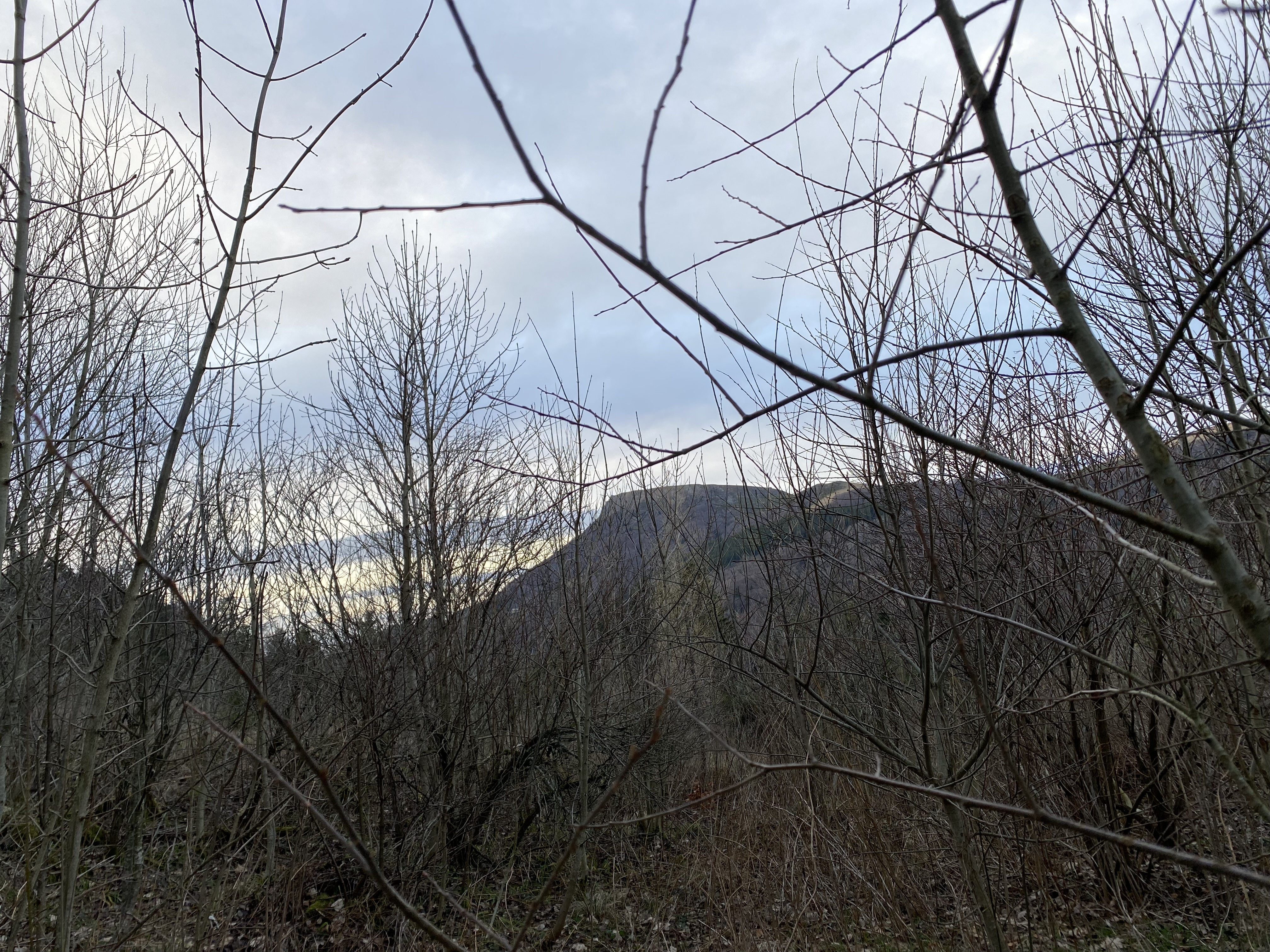 Photo n° 1 de l'avis de PRENOM.o fait le 25/02/2023 à 15:06