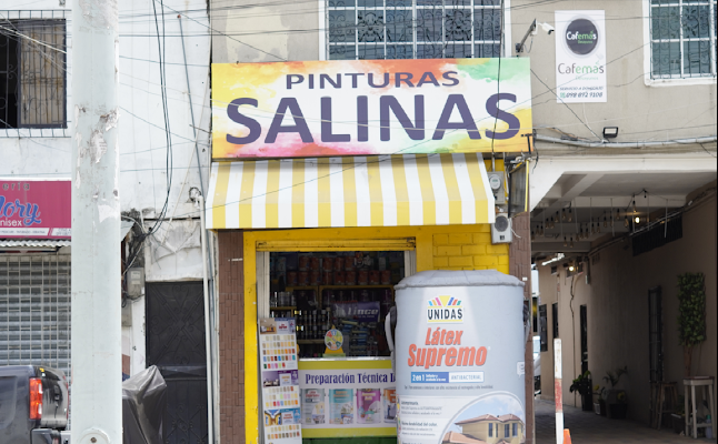 Comercial Salinas La Aurora - Tienda de pinturas