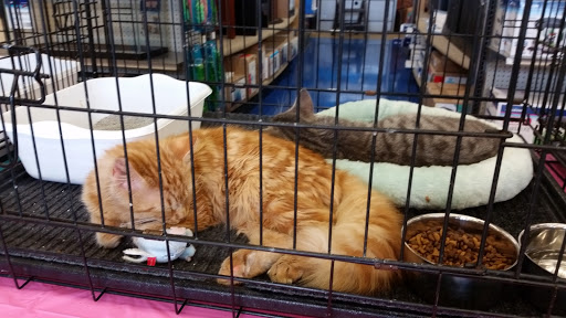 Pet Supply Store «Petco Animal Supplies», reviews and photos, 5631 Grove Blvd, Hoover, AL 35226, USA